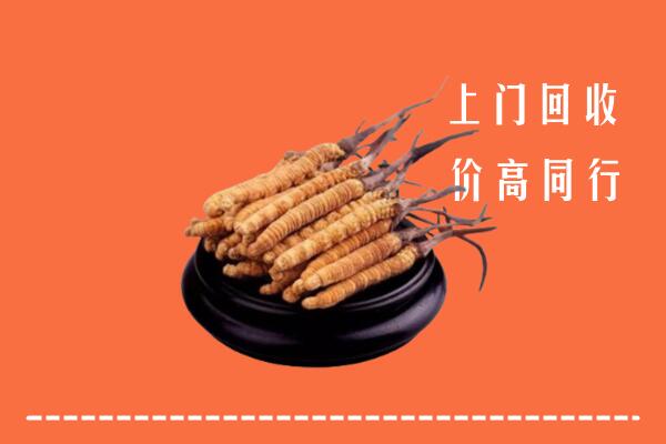 高价求购：北京市海淀区回收散虫草