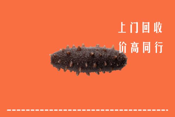 高价求购：北京市海淀区回收海参