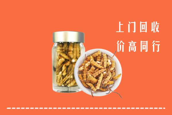 北京市海淀区回收冬虫夏草