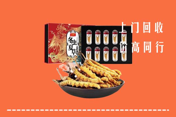 北京市海淀区回收虫草